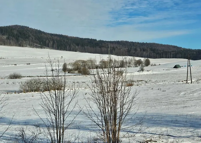 Domek Madzi - Misiowa Polanka - Domek Z Mozliwoscia Dodatkowego Wynajecia Sauny
